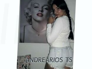 ANDREARIOS_TS