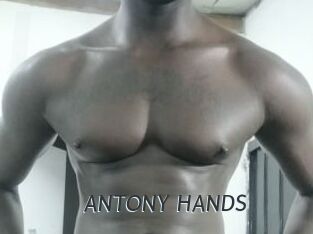 ANTONY_HANDS