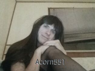 Acorn551