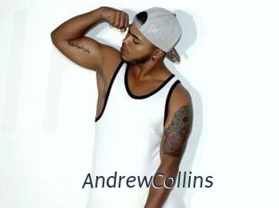 AndrewCollins Ligne Rose