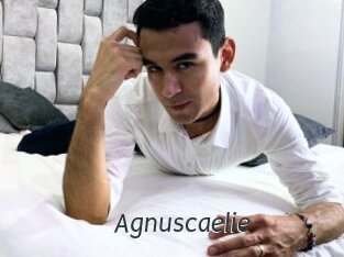 Agnuscaelie