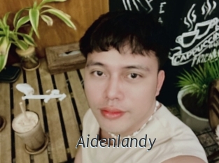 Aidenlandy