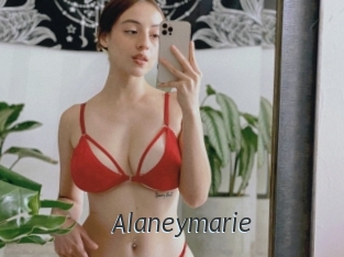 Alaneymarie