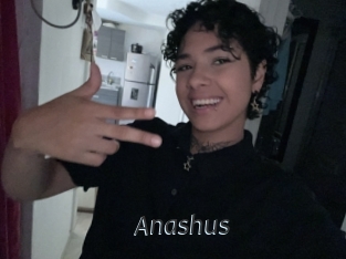 Anashus