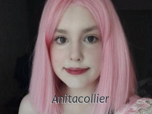 Anitacollier