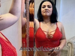 Antoneellaacruz