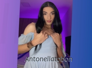 Antonellatobon