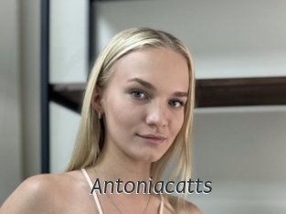 Antoniacatts