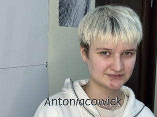 Antoniacowick