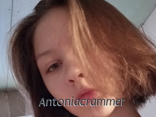 Antoniacrammer