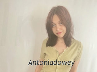 Antoniadowey