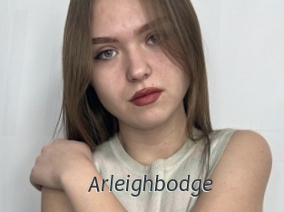 Arleighbodge