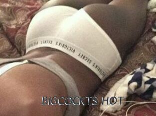 BIGCOCKTS_HOT