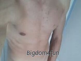 Bigdom4fun