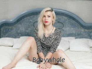 Babywhale