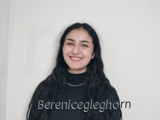 Berenicegleghorn