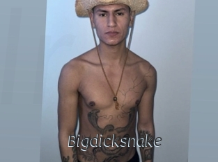 Bigdicksnake