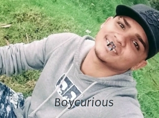 Boycurious