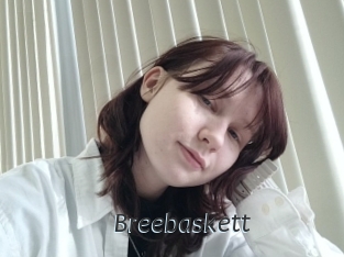 Breebaskett