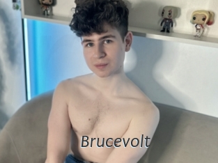 Brucevolt