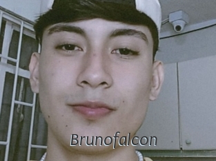 Brunofalcon