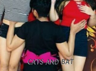 CATS_AND_BAT