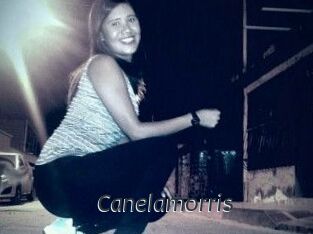 Canelamorris
