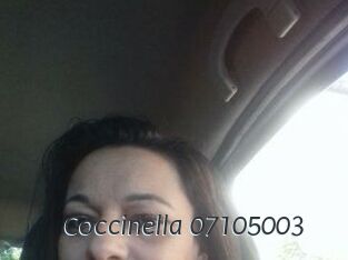 Coccinella-07105003