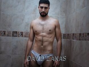 DAVID_ZANAS