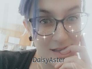 DaisyAster