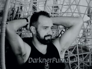DarknerPuma