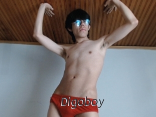 Digoboy