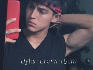 Dylan_brown15cm