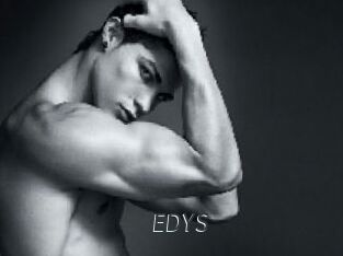 EDYS