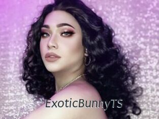 ExoticBunnyTS