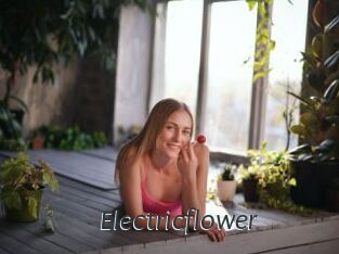 Electricflower