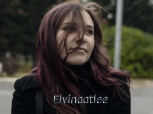 Elvinaatlee