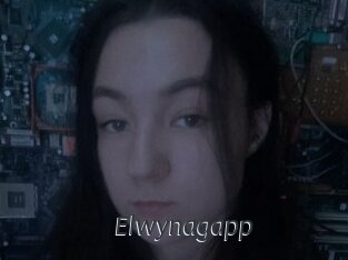 Elwynagapp