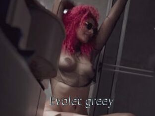 Evolet_greey