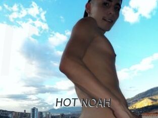 HOT_NOAH