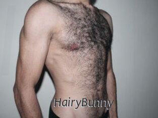 HairyBunny