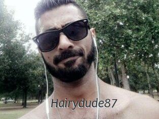 Hairydude87