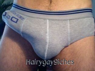 Hairygay9iches