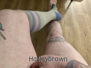 Harleybrown