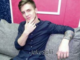 JakeSulii