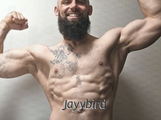 Jayybird