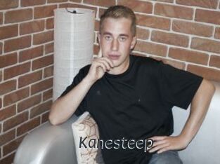 Kanesteep