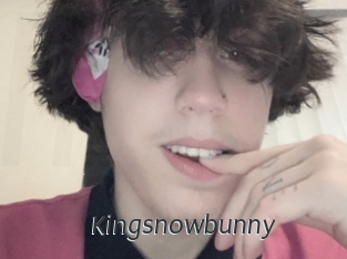 Kingsnowbunny