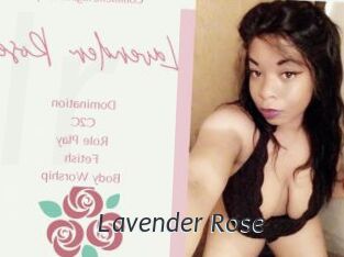 Lavender_Rose