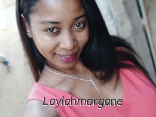 Laylahmorgane